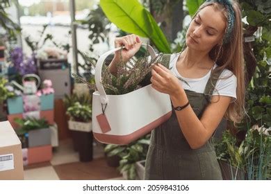mayorista proveedor hogar y jardin